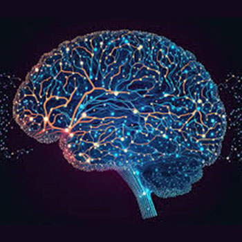 Brain Sight AI